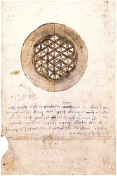 Codex Atlanticus folio 309v